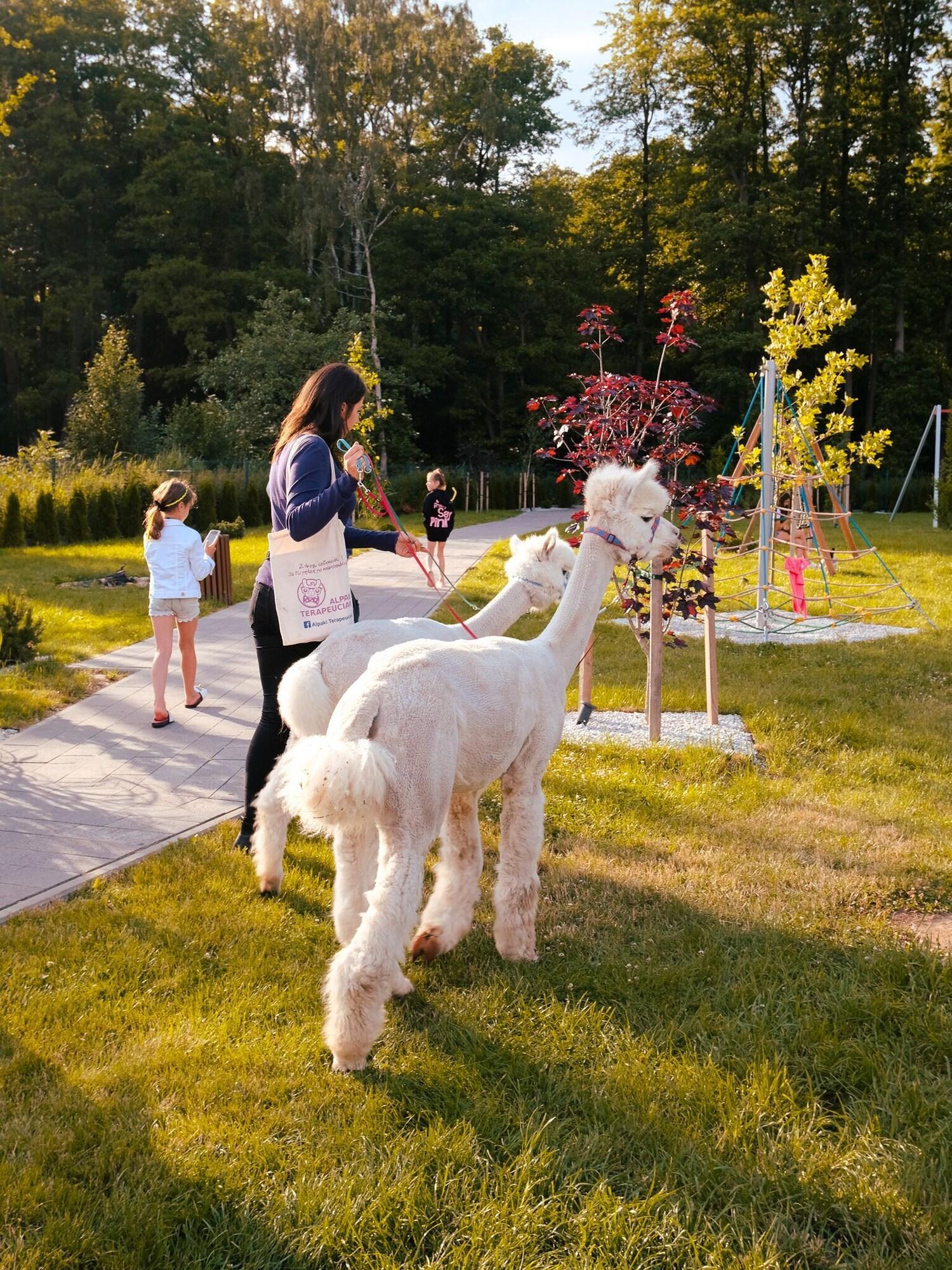 Baltin Hotel & Spa **** 미엘노 외부 사진